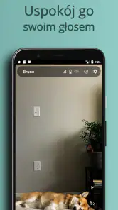 AnyPet Monitor: Monitoring Psa screenshot