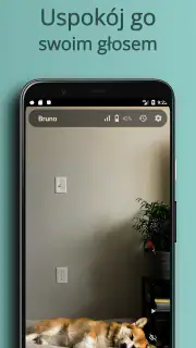 AnyPet Monitor: Monitoring Psa screenshot 4