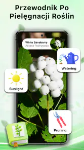 Aplikacja Rozpoznawanie Roślin screenshot