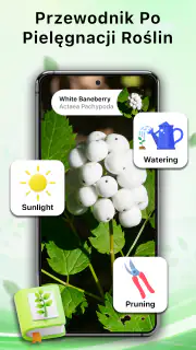 Aplikacja Rozpoznawanie Roślin screenshot 4