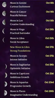 AstroMatrix Birth Horoscopes screenshot 2