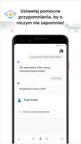 Asystent Google screenshot