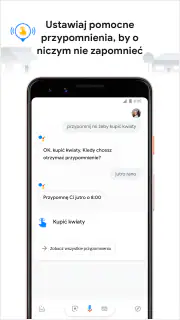 Asystent Google screenshot 7