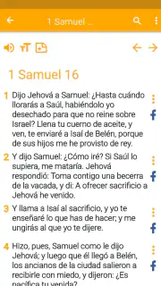 Biblia Nueva Traducción screenshot 6