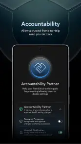 BlockP:Bloker porno & Website screenshot