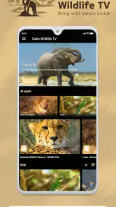 Calm Wildlife TV screenshot