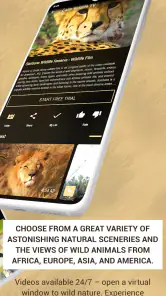 Calm Wildlife TV screenshot