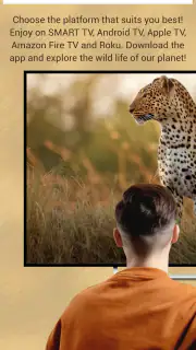 Calm Wildlife TV screenshot 4