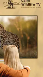 Calm Wildlife TV screenshot