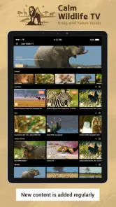 Calm Wildlife TV screenshot