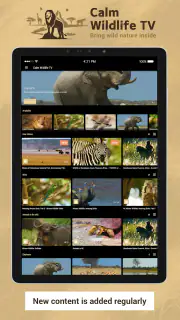 Calm Wildlife TV screenshot 6