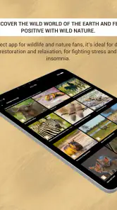 Calm Wildlife TV screenshot