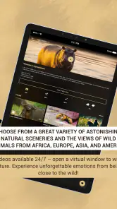 Calm Wildlife TV screenshot