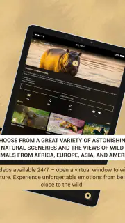 Calm Wildlife TV screenshot 8