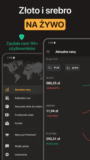 Cena Złota i Srebra screenshot 1