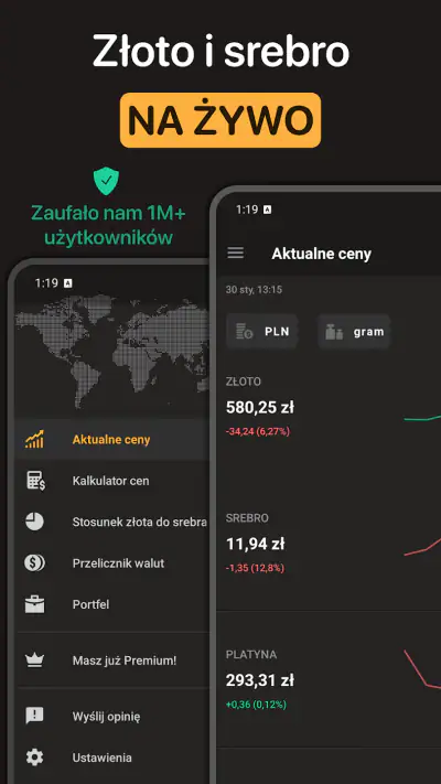 Cena Złota i Srebra screenshot 1
