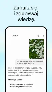 ChatGPT screenshot