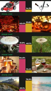 Choicer screenshot 8
