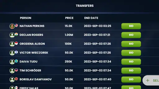 City Football Manager screenshot