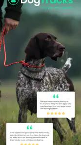 DogTracks screenshot