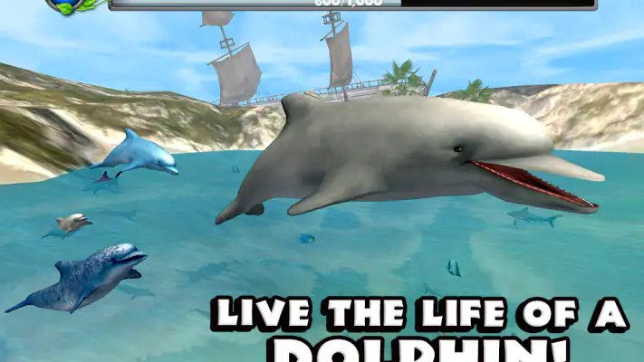 Dolphin Simulator screenshot 1