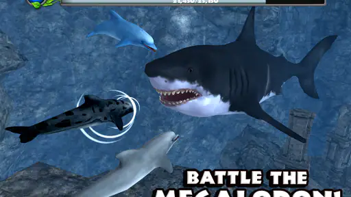 Dolphin Simulator screenshot 2