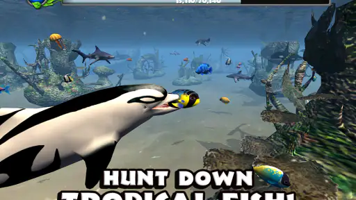 Dolphin Simulator screenshot 4