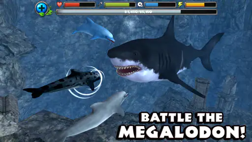 Dolphin Simulator screenshot 7