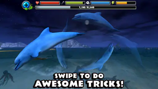 Dolphin Simulator screenshot 8