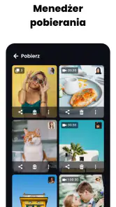 Downloader wszystkich wideo screenshot