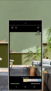 Dulux Visualizer PL screenshot 2