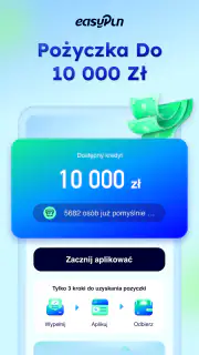 easyPLN screenshot 2