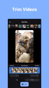 Flip Video - Odbicie Wideo screenshot