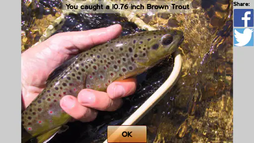 Fly Fishing Simulator HD screenshot