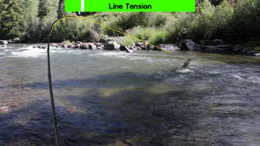 Fly Fishing Simulator HD screenshot