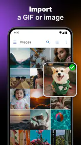 GIF Live Wallpaper screenshot