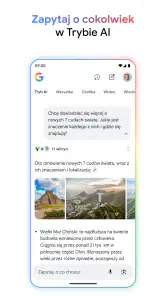 Google screenshot