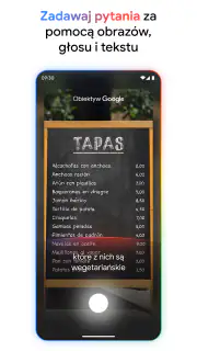 Google screenshot 3
