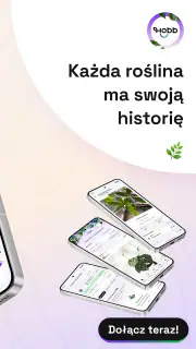 HOBB - Rośliny i Społeczność screenshot 7