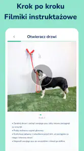 Hundeo - Szkolenie psów screenshot