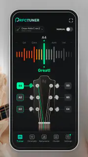 Idealny Stroik screenshot 2