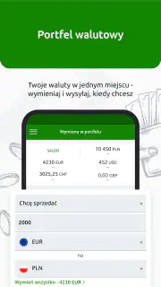 InternetowyKantor.pl screenshot 4