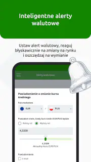 InternetowyKantor.pl screenshot 5