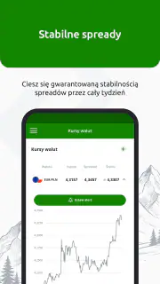 InternetowyKantor.pl screenshot 6