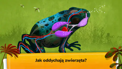 Jak żyją zwierzęta? screenshot