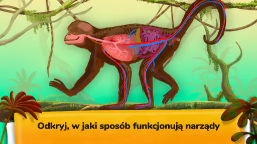 Jak żyją zwierzęta? screenshot