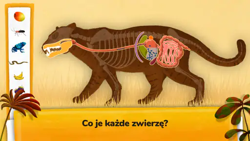 Jak żyją zwierzęta? screenshot