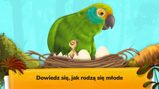 Jak żyją zwierzęta? screenshot