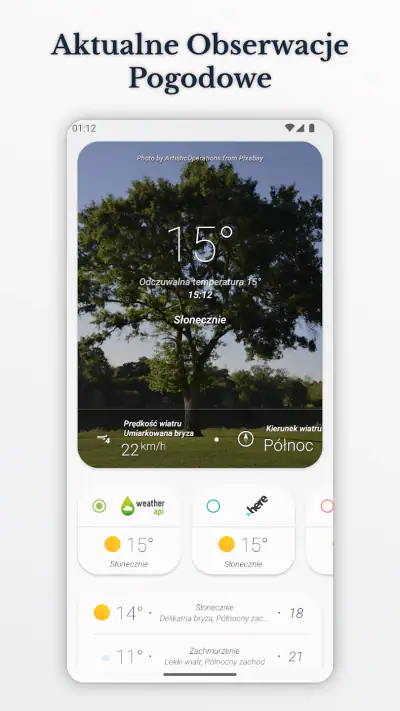 Jaka jest pogoda? - Wear OS screenshot 1