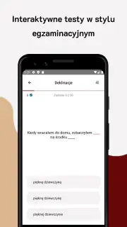 Język Polski - B1 i B2 screenshot 2